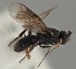  ( - MZH_GQ.1556)  @11 [ ] by-nc (2023) Simo Vaananen Luomus