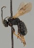  ( - MZH_GQ.1561)  @11 [ ] by-nc (2023) Simo Vaananen Luomus