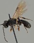  ( - MZH_GQ.1578)  @11 [ ] by-nc (2023) Simo Vaananen Luomus