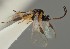  ( - MZH_GQ.1590)  @11 [ ] by-nc (2023) Simo Vaananen Luomus