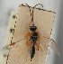  ( - MZH_GQ.1600)  @11 [ ] by-nc (2023) Simo Vaananen Luomus
