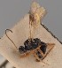  ( - MZH_GQ.1608)  @11 [ ] by-nc (2023) Simo Vaananen Luomus
