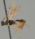  ( - MZH_GQ.1631)  @11 [ ] by-nc (2023) Simo Vaananen Luomus