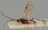  ( - MZH_GQ.1642)  @11 [ ] by-nc (2023) Simo Vaananen Luomus