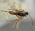  ( - MZH_GQ.1643)  @11 [ ] by-nc (2023) Simo Vaananen Luomus