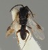 ( - MZH_GQ.1653)  @11 [ ] by-nc (2023) Simo Vaananen Luomus