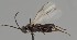  ( - MZH_GQ.1732)  @11 [ ] by-nc (2023) Simo Vaananen Luomus
