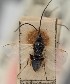  ( - MZH_GQ.1737)  @11 [ ] by-nc (2023) Simo Vaananen Luomus