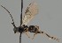  ( - MZH_GQ.1744)  @11 [ ] by-nc (2023) Simo Vaananen Luomus