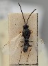  ( - MZH_GQ.1747)  @11 [ ] by-nc (2023) Simo Vaananen Luomus