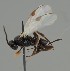  ( - MZH_GQ.1760)  @11 [ ] by-nc (2023) Simo Vaananen Luomus