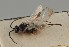  ( - MZH_GQ.1761)  @11 [ ] by-nc (2023) Simo Vaananen Luomus