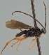  ( - MZH_GQ.1878)  @11 [ ] by-nc (2023) Simo Vaananen Luomus