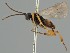  ( - MZH_GQ.1918)  @11 [ ] by-nc (2023) Simo Vaananen Luomus