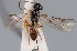  ( - MZH_GQ.192)  @11 [ ] by-nc (2021) Simo Vaananen Luomus