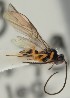  ( - MZH_GQ.1991)  @11 [ ] by-nc (2023) Simo Vaananen Luomus
