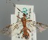  ( - MZH_GQ.2128)  @11 [ ] by-nc (2023) Simo Vaananen Luomus