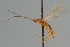  ( - MZH_GQ.2129)  @11 [ ] by-nc (2023) Simo Vaananen Luomus