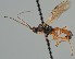  ( - MZH_GQ.2155)  @11 [ ] by-nc (2023) Simo Vaananen Luomus