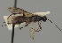  ( - MZH_GQ.415)  @11 [ ] by-nc (2021) Simo Vaananen Luomus