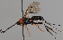  ( - MZH_GQ.970)  @11 [ ] by-nc (2021) Simo Vaananen Luomus