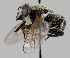  ( - MZH_GV.12770)  @11 [ ] by-nc (2021) Marko Mutanen University of Oulu