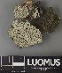 ( - H9220498)  @11 [ ] by-nc (2023) Erkka Laine Luomus