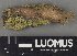  ( - H9222609)  @11 [ ] by-nc (2023) Erkka Laine Luomus