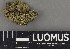  ( - H9231273)  @11 [ ] by-nc (2023) Erkka Laine Luomus