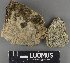  ( - H9233187)  @11 [ ] by-nc (2023) Erkka Laine Luomus