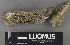  ( - H9235031)  @11 [ ] by-nc (2023) Erkka Laine Luomus