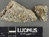  ( - H9235043)  @11 [ ] by-nc (2023) Erkka Laine Luomus