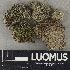  ( - H9235049)  @11 [ ] by-nc (2023) Erkka Laine Luomus