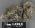  ( - H9235050)  @11 [ ] by-nc (2023) Erkka Laine Luomus