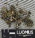  ( - H9235073)  @11 [ ] by-nc (2023) Erkka Laine Luomus