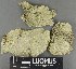  ( - H9235178)  @11 [ ] by-nc (2023) Erkka Laine Luomus