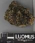  ( - H9237578)  @11 [ ] by-nc (2023) Erkka Laine Luomus