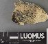  (Caeruleum - H9237608)  @11 [ ] by-nc (2023) Erkka Laine Luomus