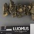  ( - H9237624)  @11 [ ] by-nc (2023) Erkka Laine Luomus