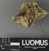  ( - H9237652)  @11 [ ] by-nc (2023) Erkka Laine Luomus