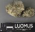  ( - H9237688)  @11 [ ] by-nc (2023) Erkka Laine Luomus