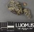  ( - H9237733)  @11 [ ] by-nc (2023) Erkka Laine Luomus