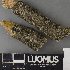  ( - H9237755)  @11 [ ] by-nc (2023) Erkka Laine Luomus