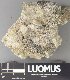  ( - H9237793)  @11 [ ] by-nc (2023) Erkka Laine Luomus