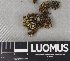  ( - H9237867)  @11 [ ] by-nc (2023) Erkka Laine Luomus