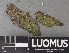  ( - H9237994)  @11 [ ] by-nc (2023) Erkka Laine Luomus