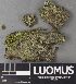  ( - H9238009)  @11 [ ] by-nc (2023) Erkka Laine Luomus