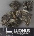  ( - H9238059)  @11 [ ] by-nc (2023) Erkka Laine Luomus