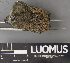  ( - H9238112)  @11 [ ] by-nc (2023) Erkka Laine Luomus