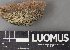 ( - H9238146)  @11 [ ] by-nc (2023) Erkka Laine Luomus